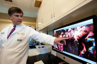 <br /><br /><br />
<span class="cutline_leadin">FRONTIERS IN CARDIAC CARE: </span> Dr. Joshua Hare, director of the Interdisciplinary Stem Cell Institute of UM’s Miller School of Medicine, explains images of a culture of myocardial cells and myocardial stem cells.</p><br /><br />
<p>